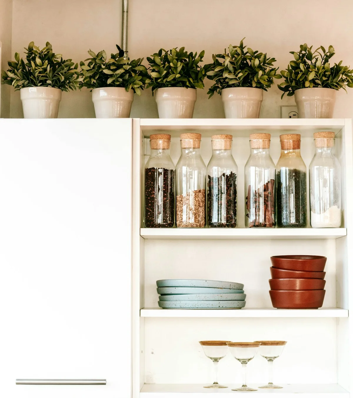 Kitchen shelves holding jars, stacked dishes, and plants.