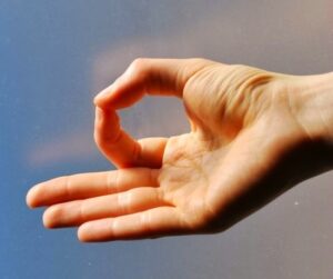 10 Powerful Yoga Mudras: Types and Health Benefits 102 chin mudra