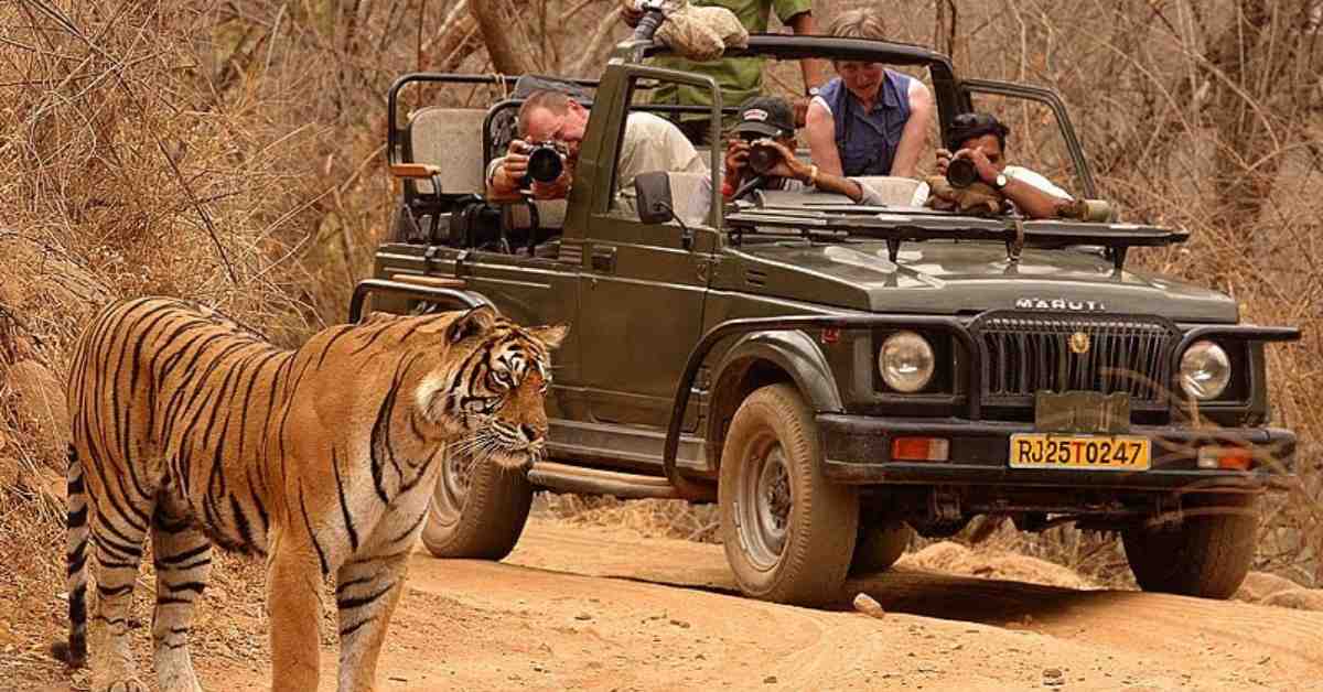 10 Incredible Travel Destinations From Delhi Under 10K 107 Ranthambore, Rajasthan