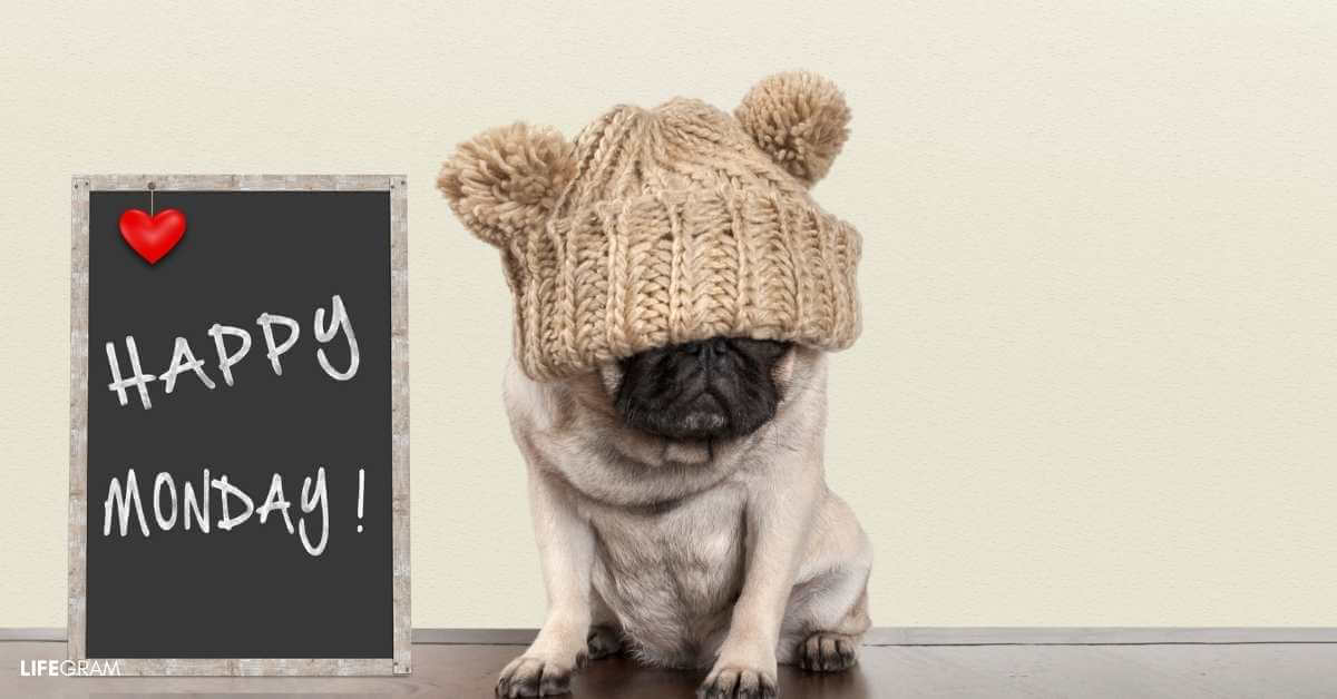 monday motivation quotes