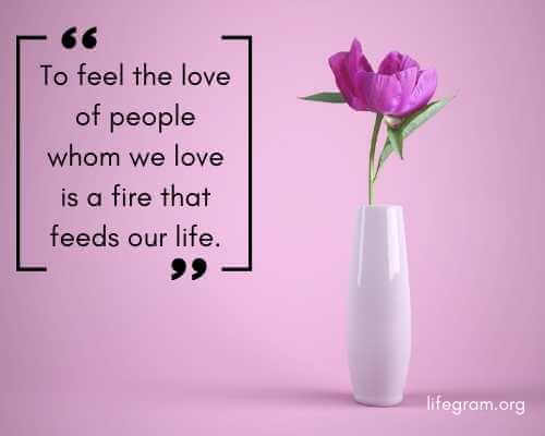 143 Best Love Quotes To Express your Emotions 116 love best quotes