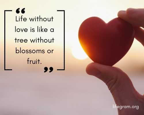 143 Best Love Quotes To Express your Emotions 107 love