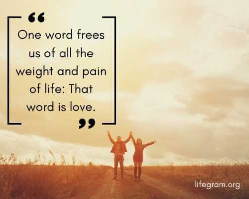 143 Best Love Quotes To Express your Emotions 109 quote to love