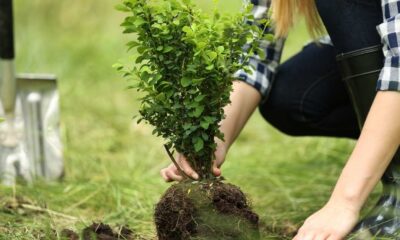 World Environment Day