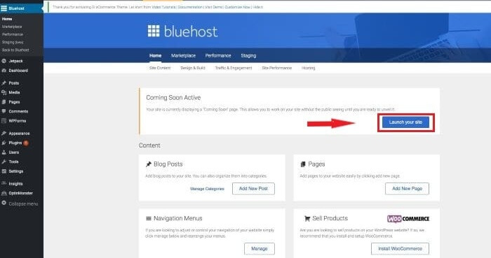 How to Start Your Blog - Step By Step 117 WordPress-launch