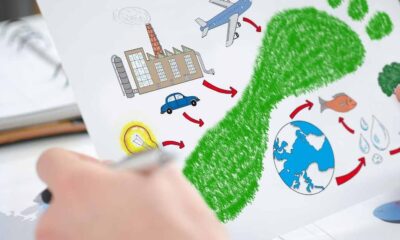 how to reduce your carbon footprints