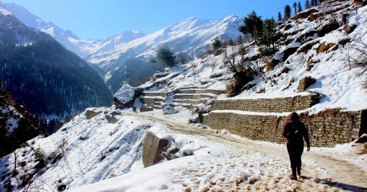 trek in the Himalayas