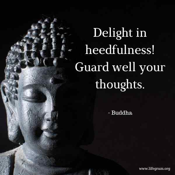 55 Buddha Quotes on Life, Peace and Happiness 104 best Buddha quotes