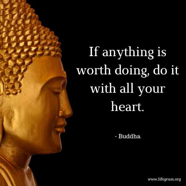 55 Buddha Quotes on Life, Peace and Happiness 108 motivational buddha quotes