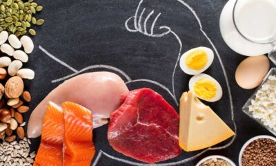 importance of protein