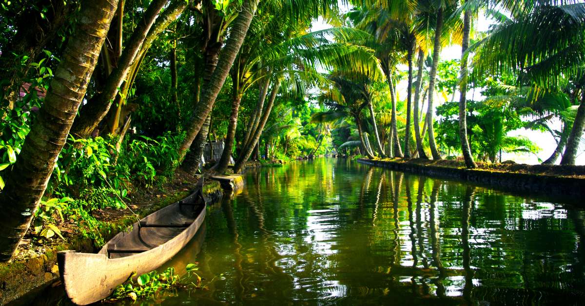 Backwaters in Alleppy